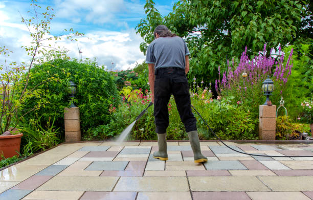 Best Winterizing Services  in Budd Lake, NJ