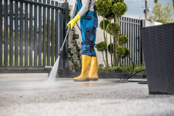 Best Roof Washing  in Budd Lake, NJ
